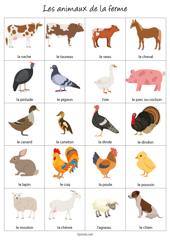 Imagier gratuit à imprimer, les animaux de la ferme