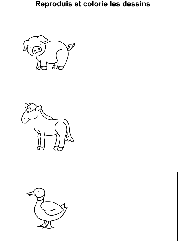 Apprendre à dessiner un cochon, un cheval, un canard