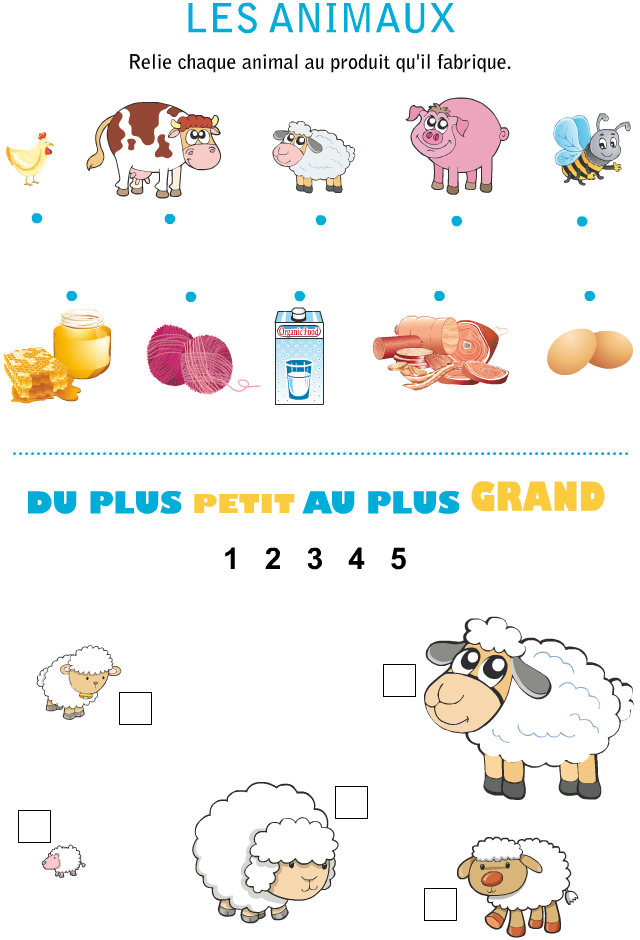 Jeux : les animaux et les produits fabriqués ; du plus petit au plus grand