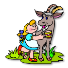 Coloriages animaux