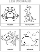 Cartes d'animaux à imprimer
