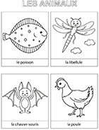 Cartes d'animaux à découper
