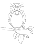 Coloriage à imprimer, un hibou