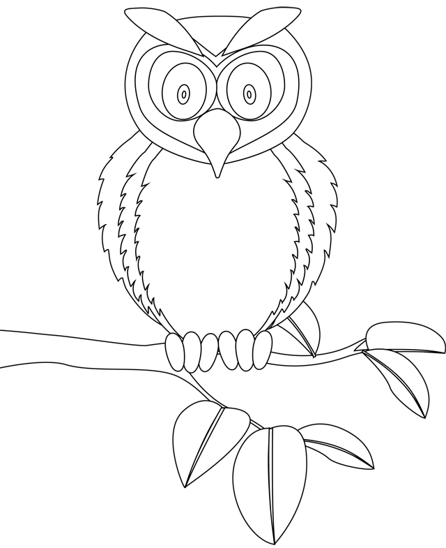 Coloriage à imprimer, un hibou