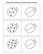 Compter les taches et dessiner autant de taches sur chaque aile de la coccinelle.