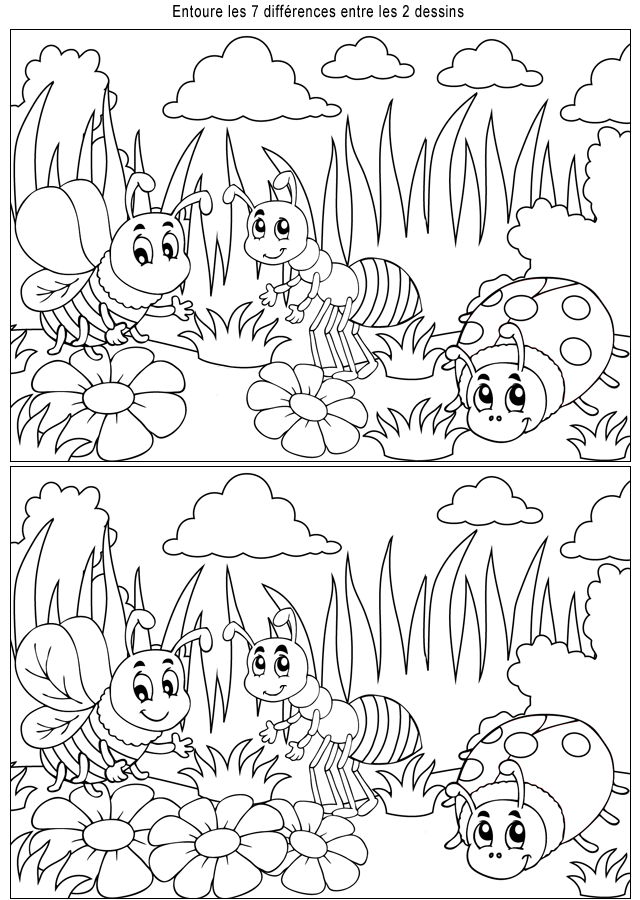 Les insectes Jeu des différences, les insectes