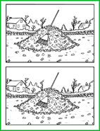 Jeu des différences,ramassage des feuilles mortes