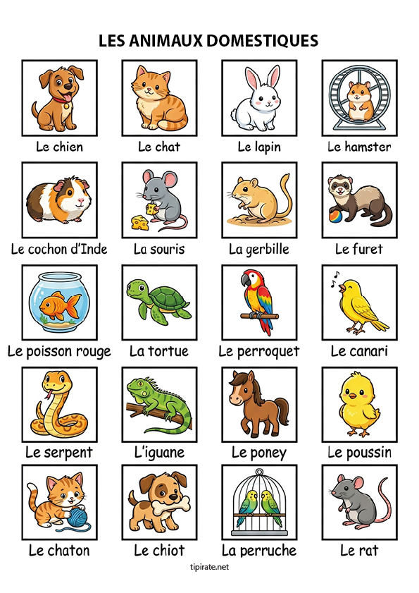 Imagier gratuit à imprimer, les animaux domestiques