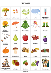Fiche de vocabulaire à imprimer, l'automne