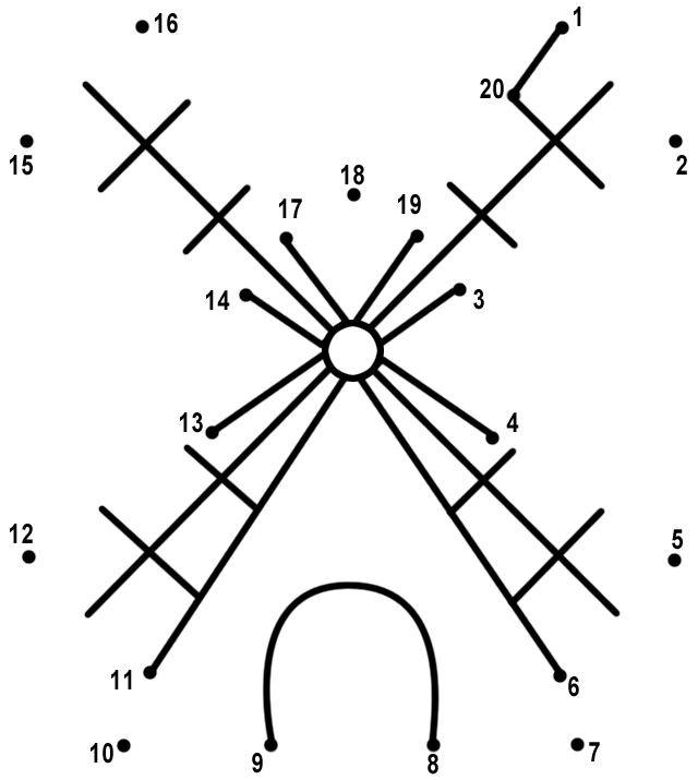 Relier les points de 1 à 20