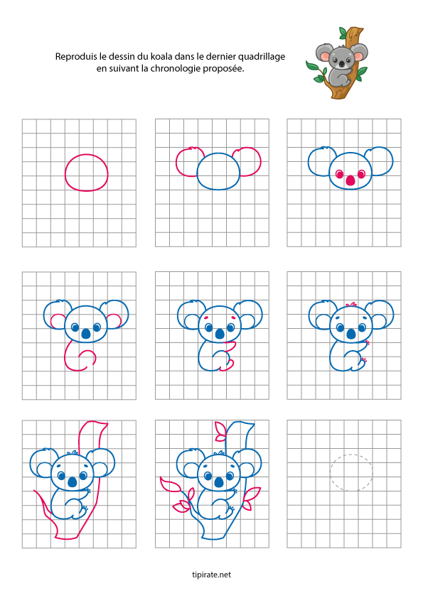 Un koala Apprendre à dessiner un koala