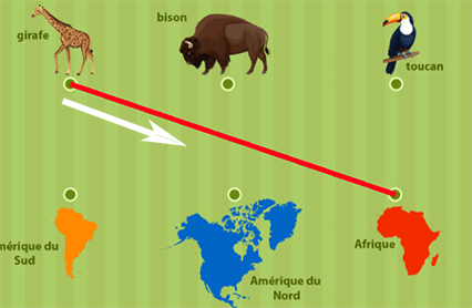 Aide Aide, animaux et continents