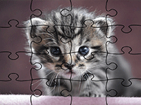 Puzzle en ligne, les chats