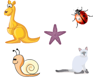 Quiz en ligne pour enfants