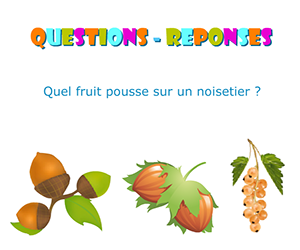 Quiz en ligne pour enfants